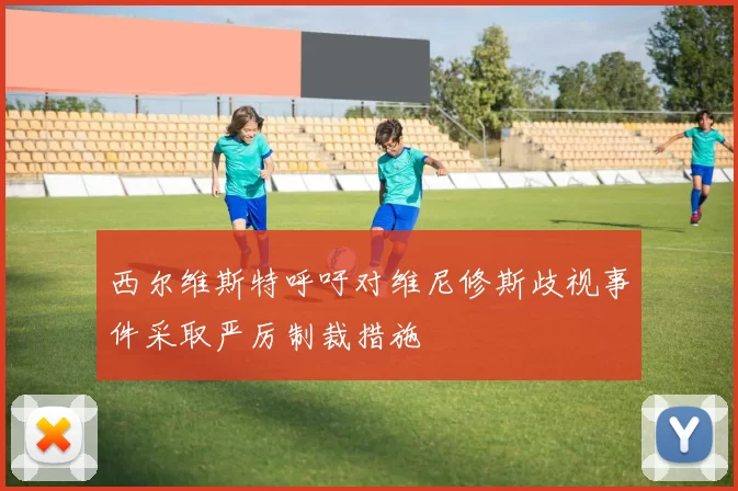 西尔维斯特呼吁对维尼修斯歧视事件采取严厉制裁措施