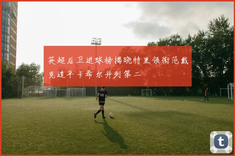英超后卫进球榜揭晓特里领衔范戴克追平卡希尔并列第二